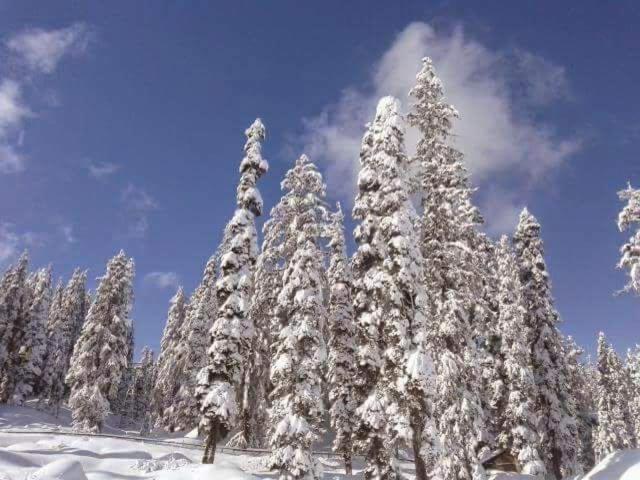Sheen Homestay Gulmarg Zewnętrze zdjęcie